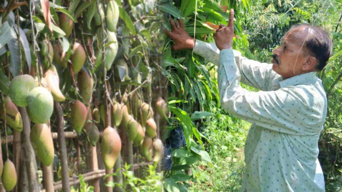 उसने सूखी जमीन पर खेती की… और लाखों रुपये कमाए और सफलता…
