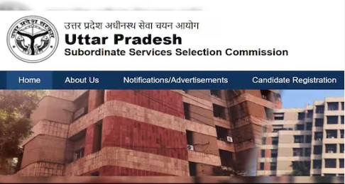 UPSSSC 29 जून को आयोजित करेगा जूनियर असिस्टेंट भर्ती परीक्षा, जानिए जरूरी दिशानिर्देश और शहरों की पूरी लिस्ट।