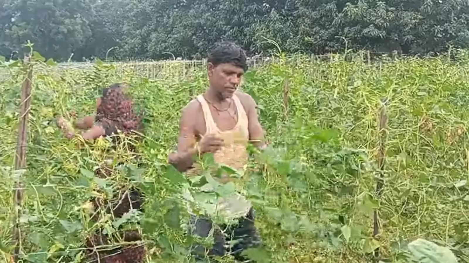 नौकरी चली गई? नो टेंशन! जामताड़ा के किसान जगदीश राय से सीखें खेती में सफलता का राज