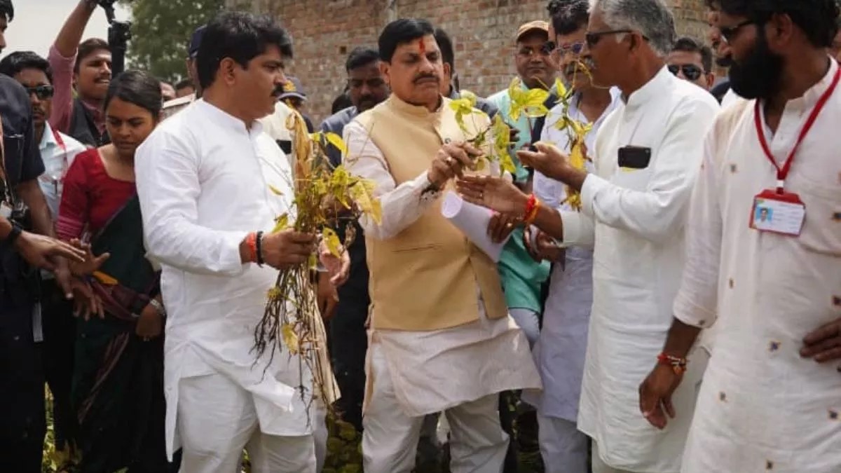 मध्यप्रदेश में खराब हुई सोयाबीन फसल का होगा सर्वे, किसानों को नुकसान नहीं होने का आश्वासन