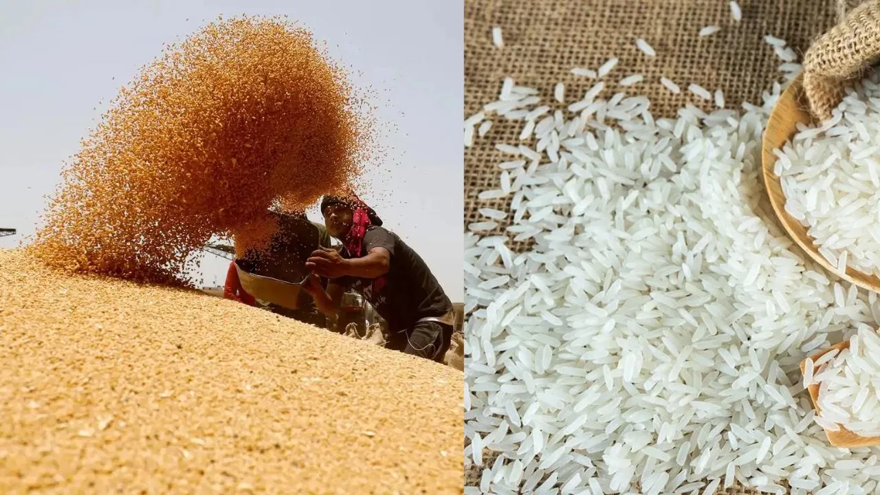 चावल और गेहूं का सरकारी भंडार रिकॉर्ड स्तर पर, भंडारण दरों में हुआ इज़ाफ़ा