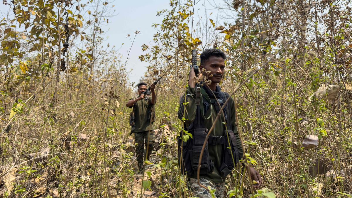 छत्तीसगढ़ के दंतेवाड़ा में 71 माओवादी आत्मसमर्पण, “खाली” विचारधारा से निराश होकर छोड़ा हिंसक रास्ता