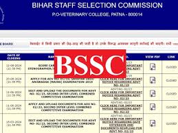 BSSC सेकेंड इंटर लेवल भर्ती 2025: 10,976 पदों की बढ़ोतरी, आवेदन प्रक्रिया हुई शुरू, जल्द करें आवेदन