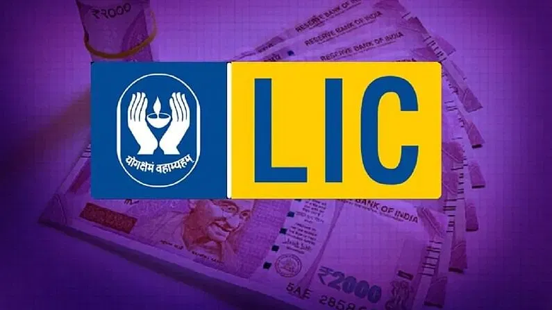 LIC में घटेगी सरकार की हिस्सेदारी! आम निवेशकों के लिए खुल सकता सुनहरा मौका, फिर शुरू होगा शेयर बिक्री का दौर