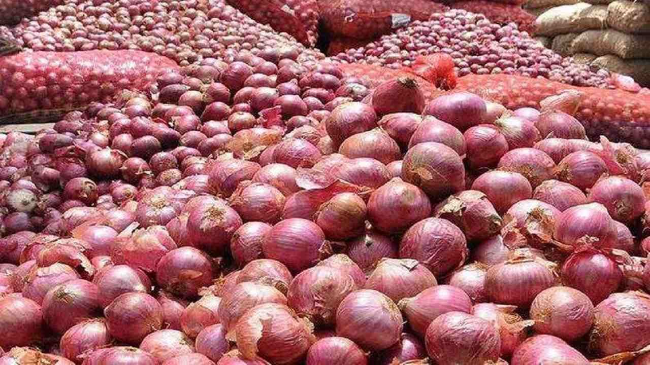 60,000 रुपये की लागत, बदले में मिले सिर्फ 664 रुपये — बारिश ने महाराष्ट्र के प्याज किसानों की तोड़ी कमर