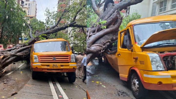 मुंबई में दर्दनाक हादसा! चेंबूर में स्कूल बस पर गिरा विशाल पेड़, एक छात्रा की मौत, 10 बच्चे गंभीर घायल